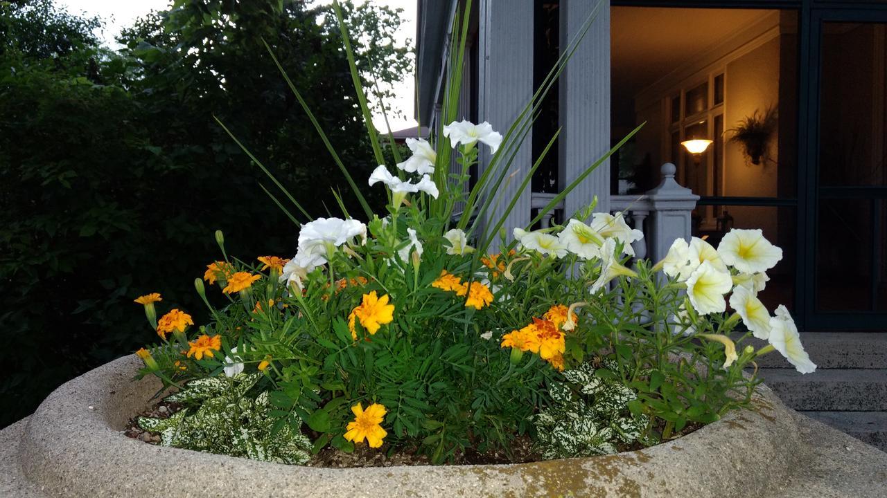 Alexander Mansion Bed & Breakfast Winona Esterno foto