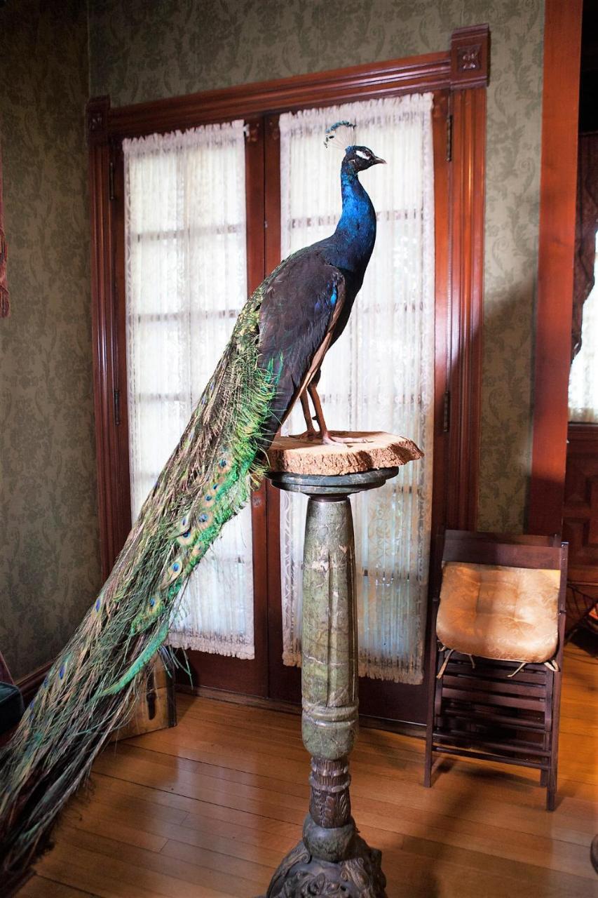 Alexander Mansion Bed & Breakfast Winona Esterno foto